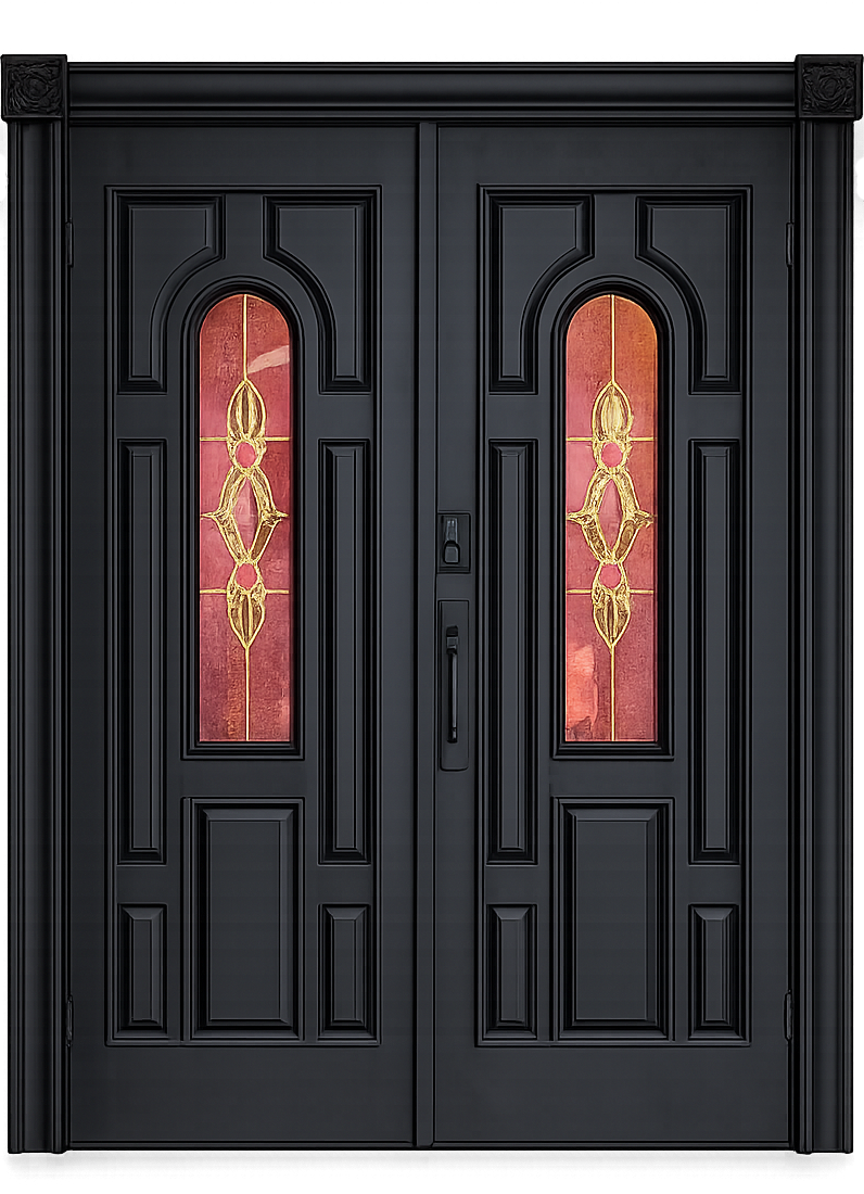 Luxury Black Double Entry Door with Decorative Glass